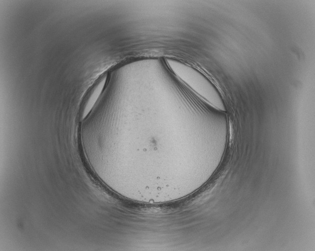 X0000115150301200911171246