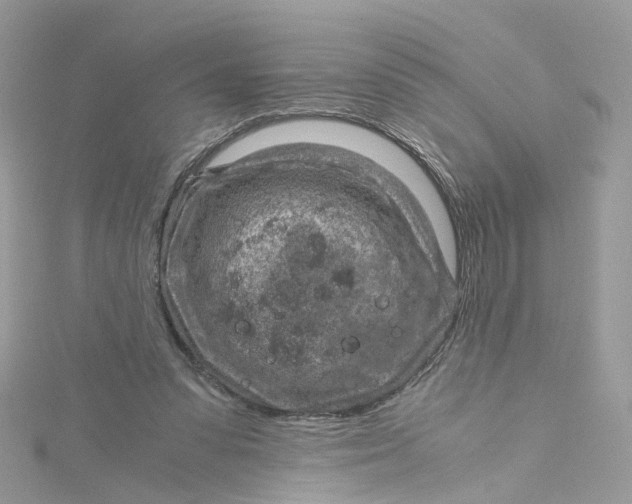 X0000115150303200911171246