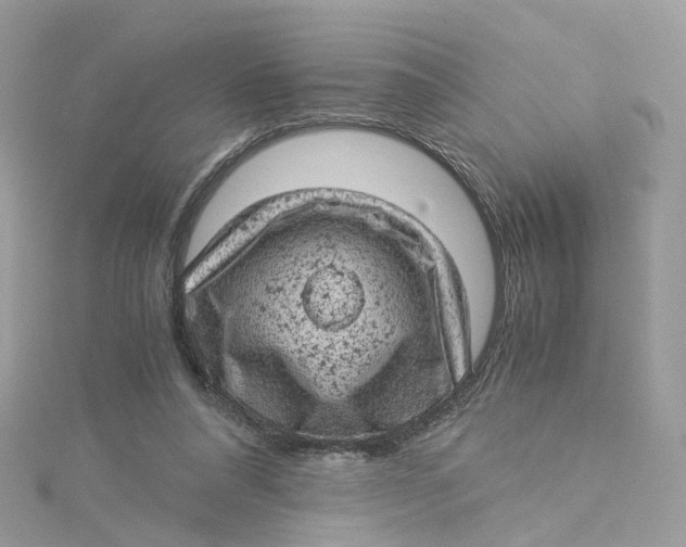 X0000115150304200911171246