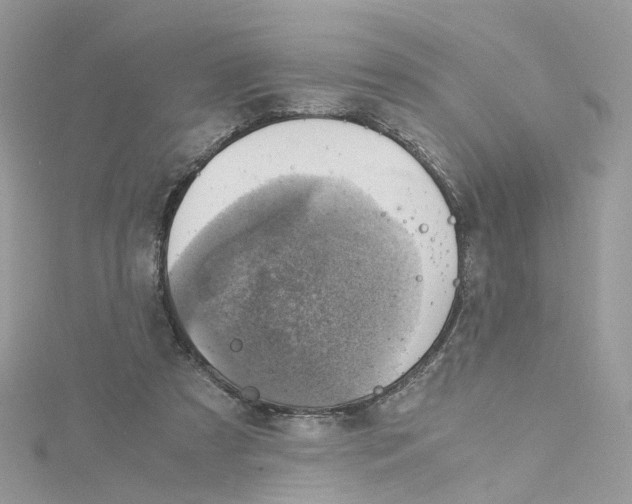 X0000115150305200911171246