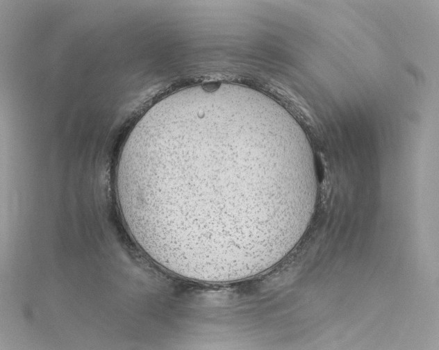 X0000115150306200911171246