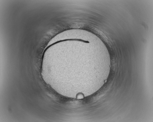 X0000115150307200911171246