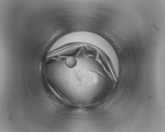 X0000115150308200911171246