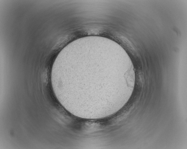 X0000115150311200911171246