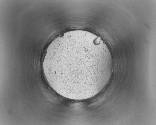 X0000115150312200911171246