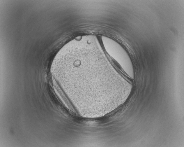 X0000115150313200911171246