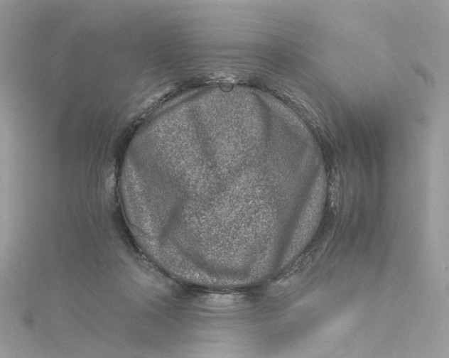 X0000115150314200911171246