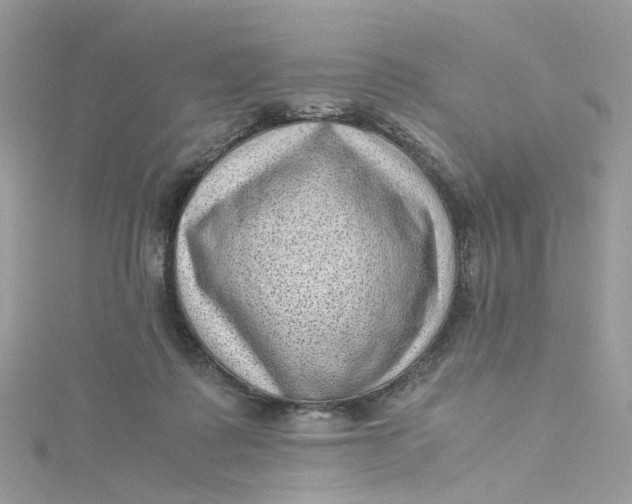 X0000115150315200911171246