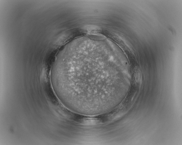 X0000115150316200911171246