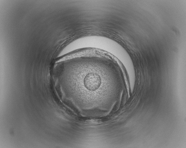 X0000115150320200911171246