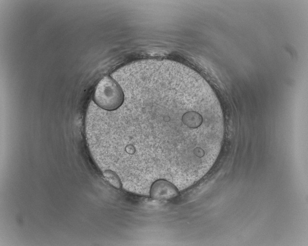 X0000115150321200911171246