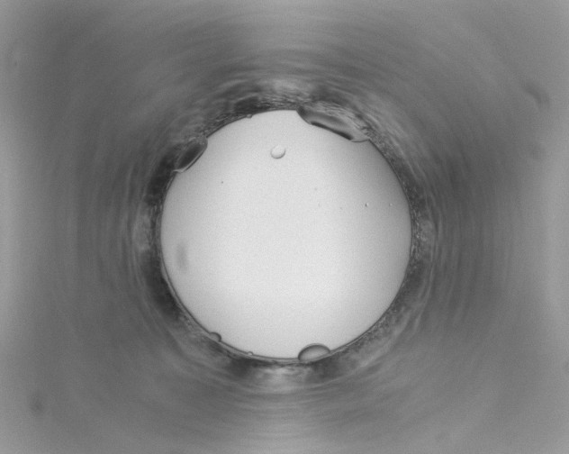 X0000115150323200911171246