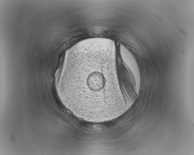 X0000115150324200911171246