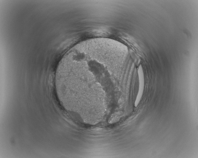 X0000115150325200911171246