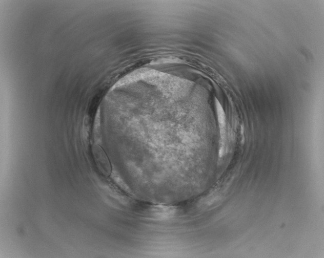 X0000115150328200911171246