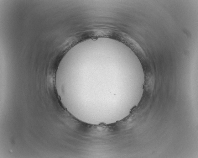 X0000115150329200911171246