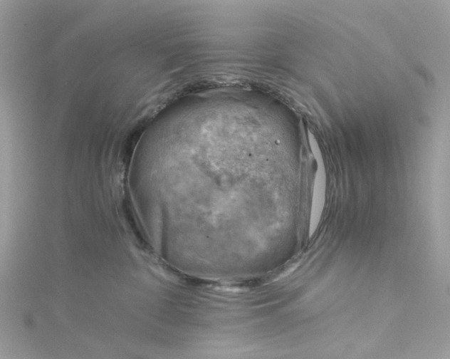 X0000115150332200911171246