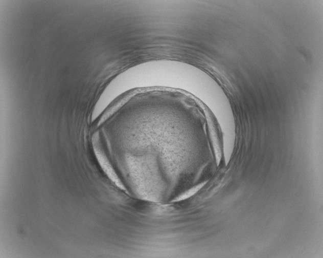 X0000115150333200911171246