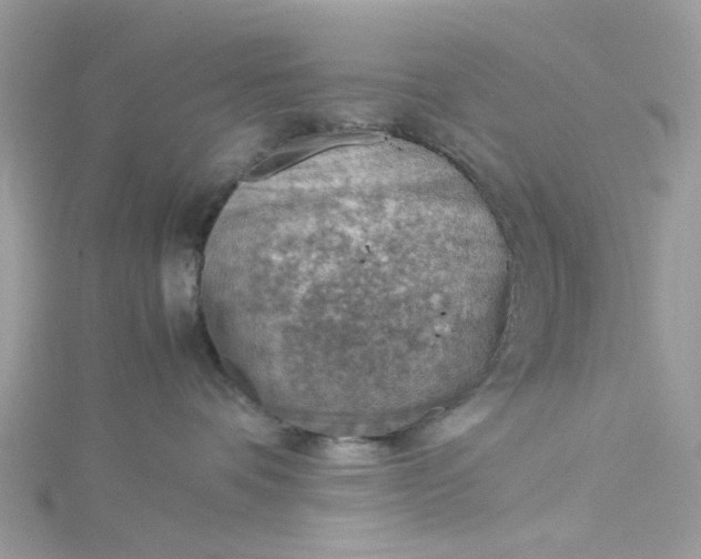 X0000115150336200911171246