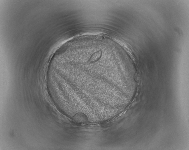 X0000115150337200911171245