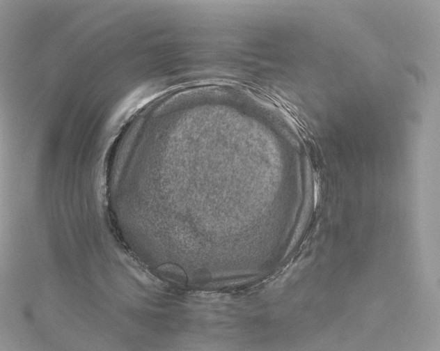 X0000115150339200911171245