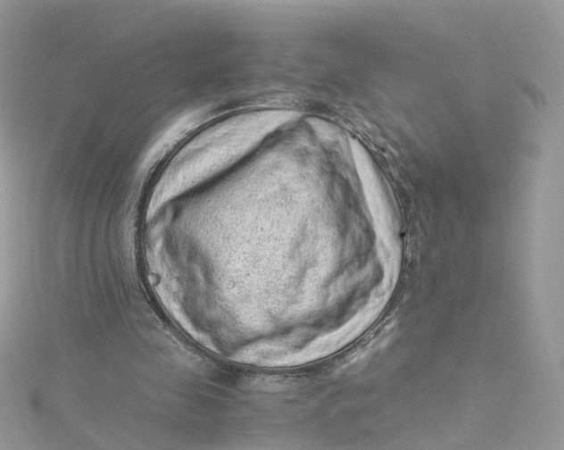 X0000115150341200911171245