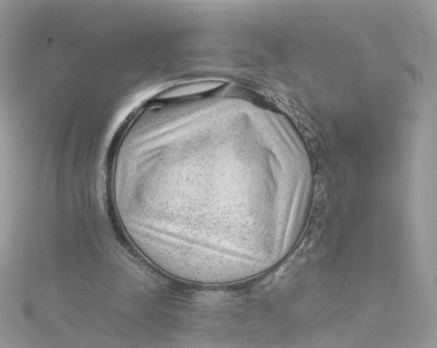 X0000115150342200911171245