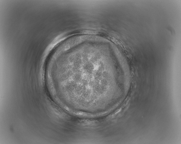 X0000115150343200911171245