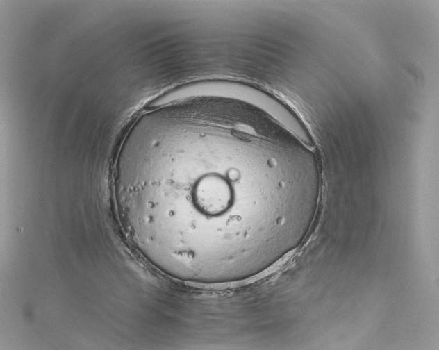 X0000115150345200911171245