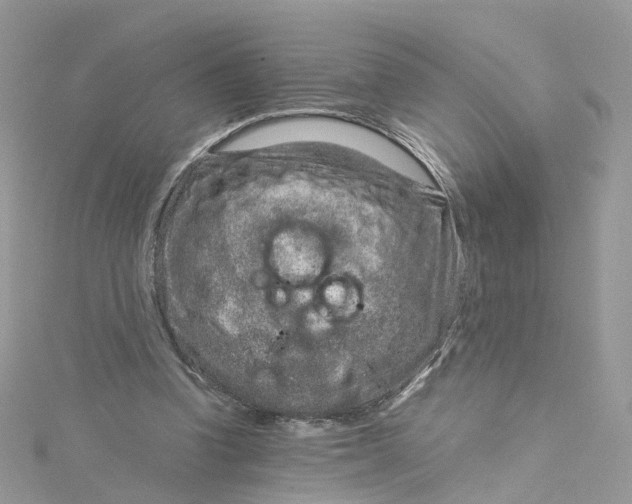 X0000115150346200911171245