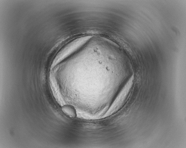 X0000115150347200911171245