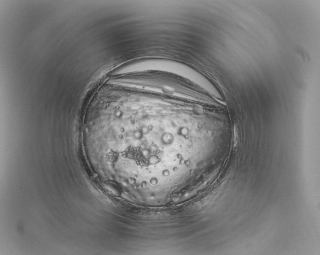 X0000115150349200911171245