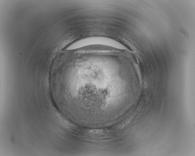 X0000115150353200911171245