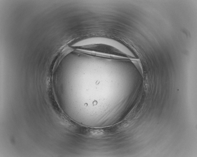 X0000115150355200911171245