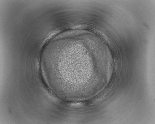 X0000115150357200911171245