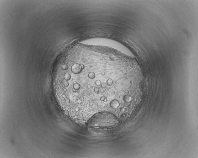 X0000115150359200911171245