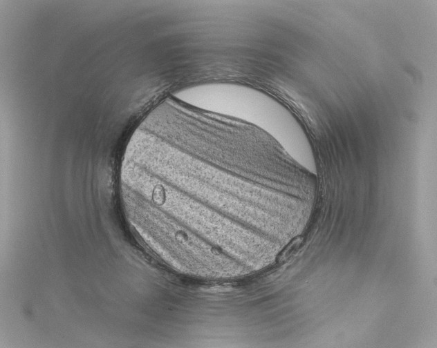 X0000115150362200911171245