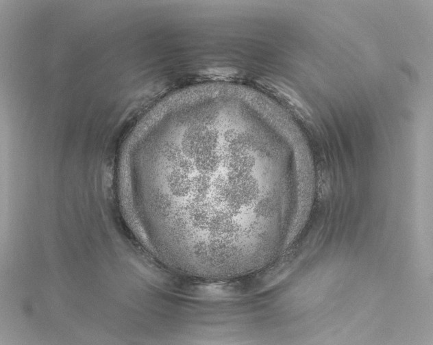 X0000115150365200911171245