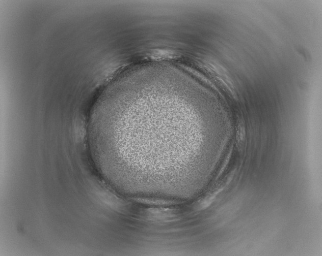 X0000115150367200911171245