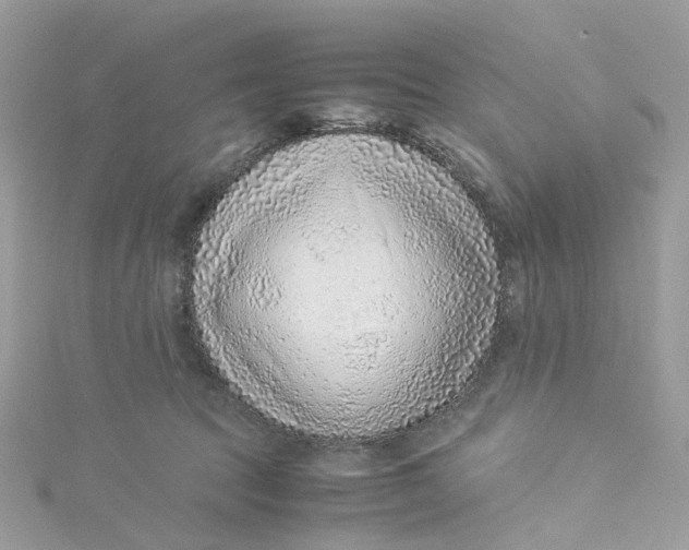 X0000115150369200911171245