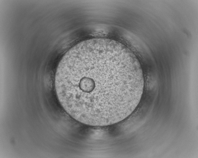 X0000115150370200911171245