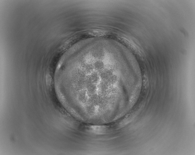 X0000115150371200911171245