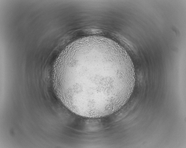 X0000115150373200911171246