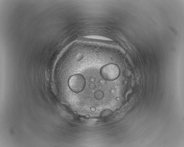 X0000115150374200911171246