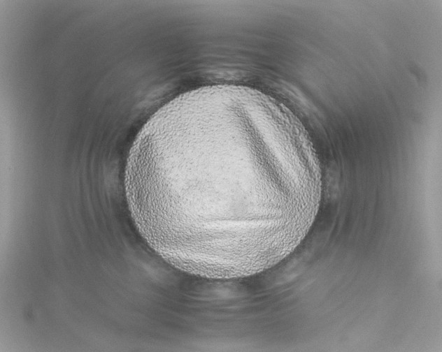 X0000115150377200911171246