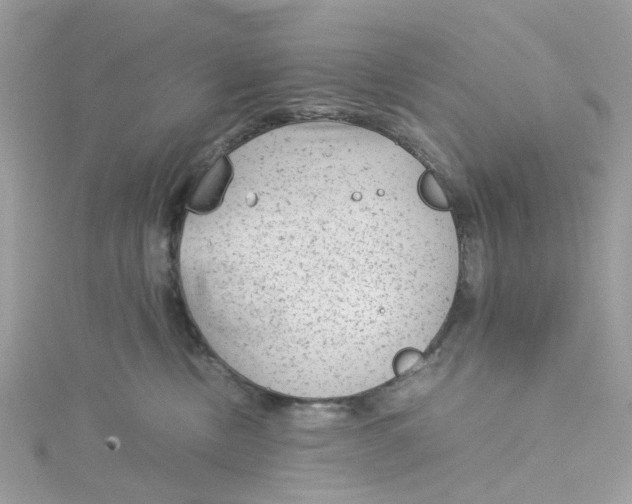 X0000115150378200911171246