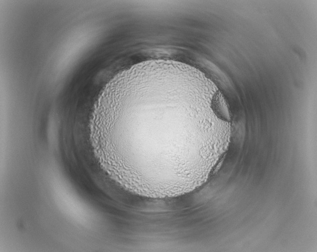 X0000115150381200911171246