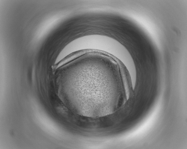 X0000115150382200911171246