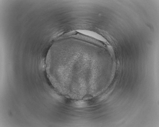 X0000115150383200911171246