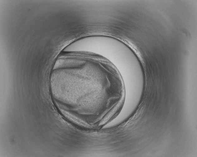 X0000115150385200911171245